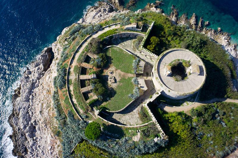 Mamula