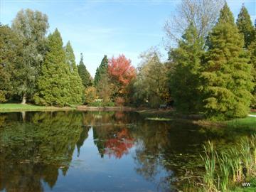 Von Gimborn Arboretum
