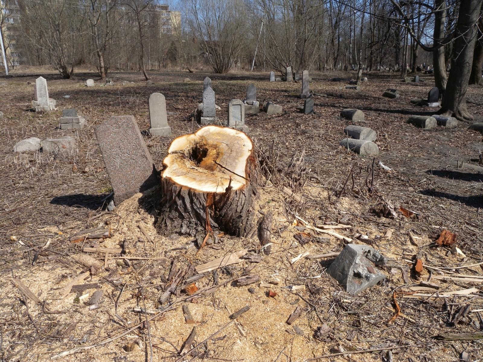 Žaliakalnis Jewish Cemetery
