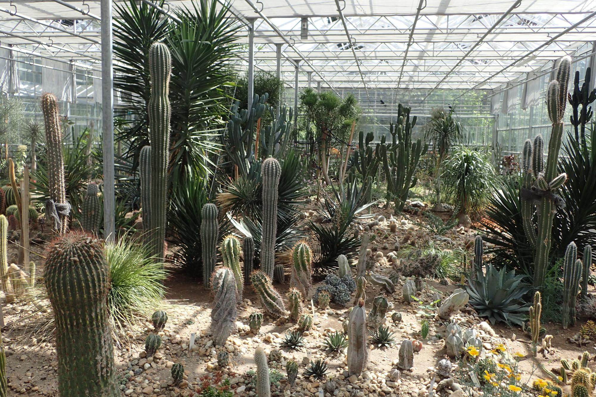 University Botanical Gardens