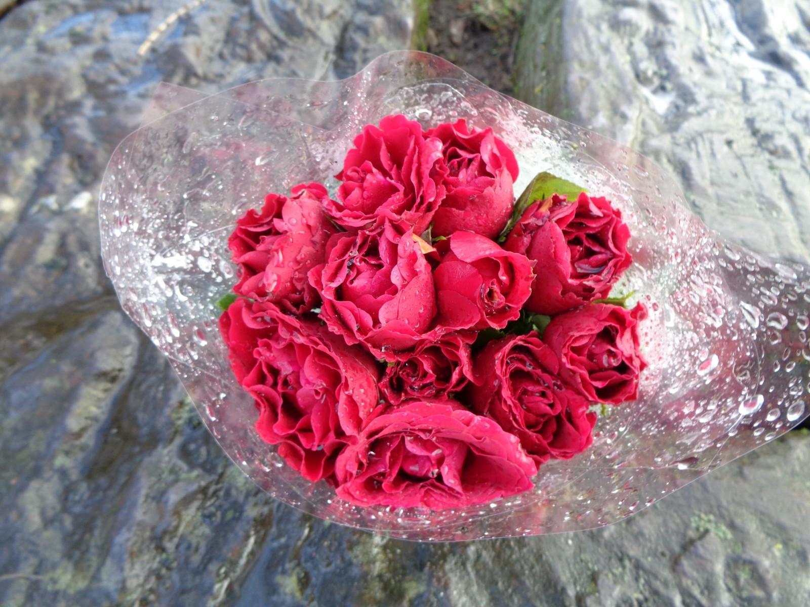 Musical Theatre Garden