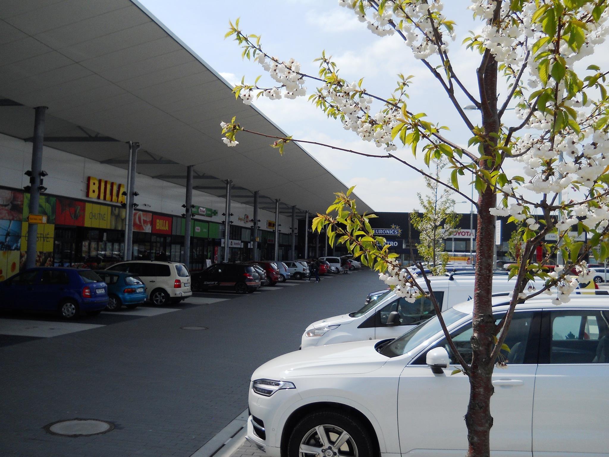Shopping Park Bleaching