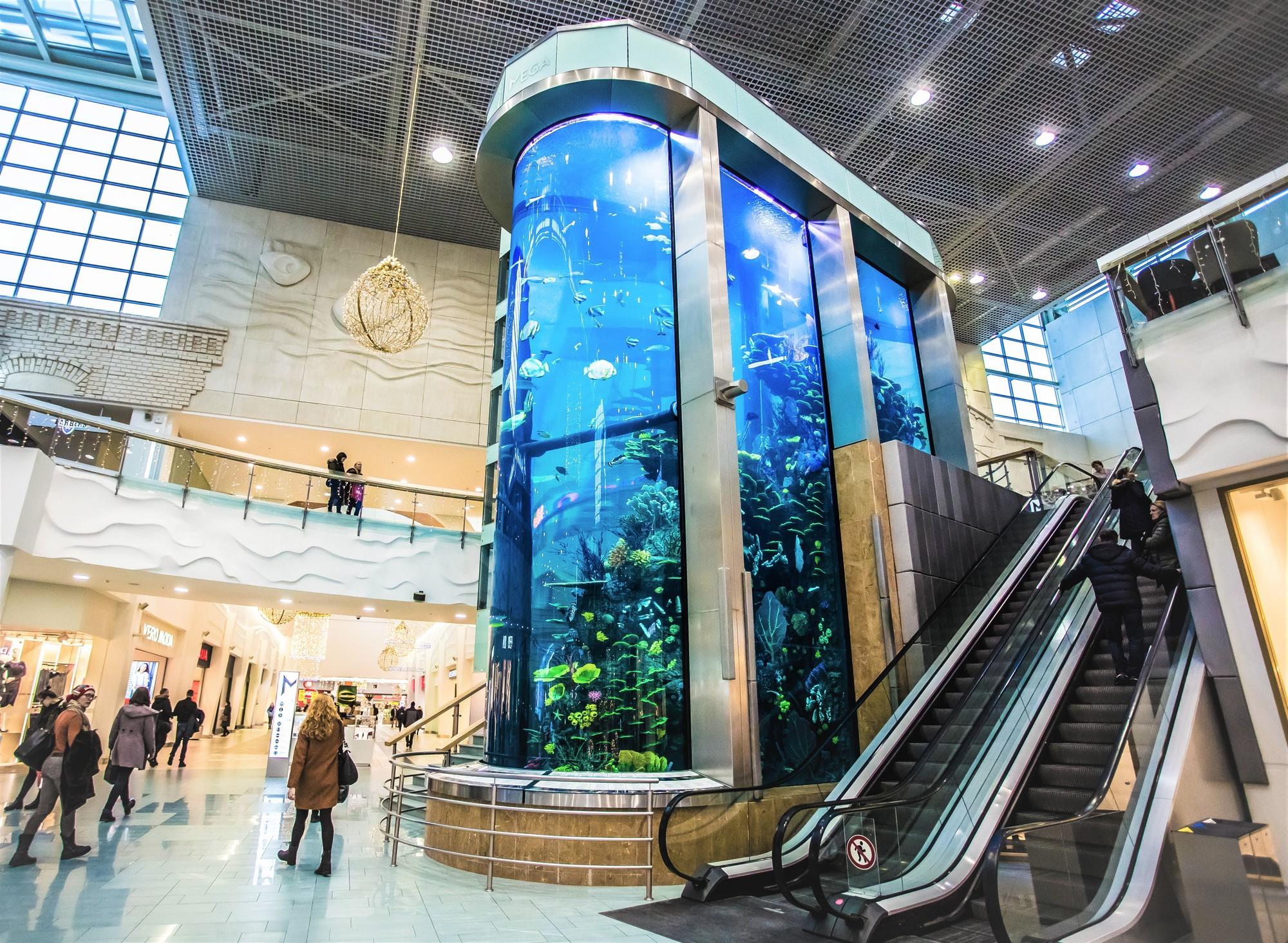 Mega Aquarium