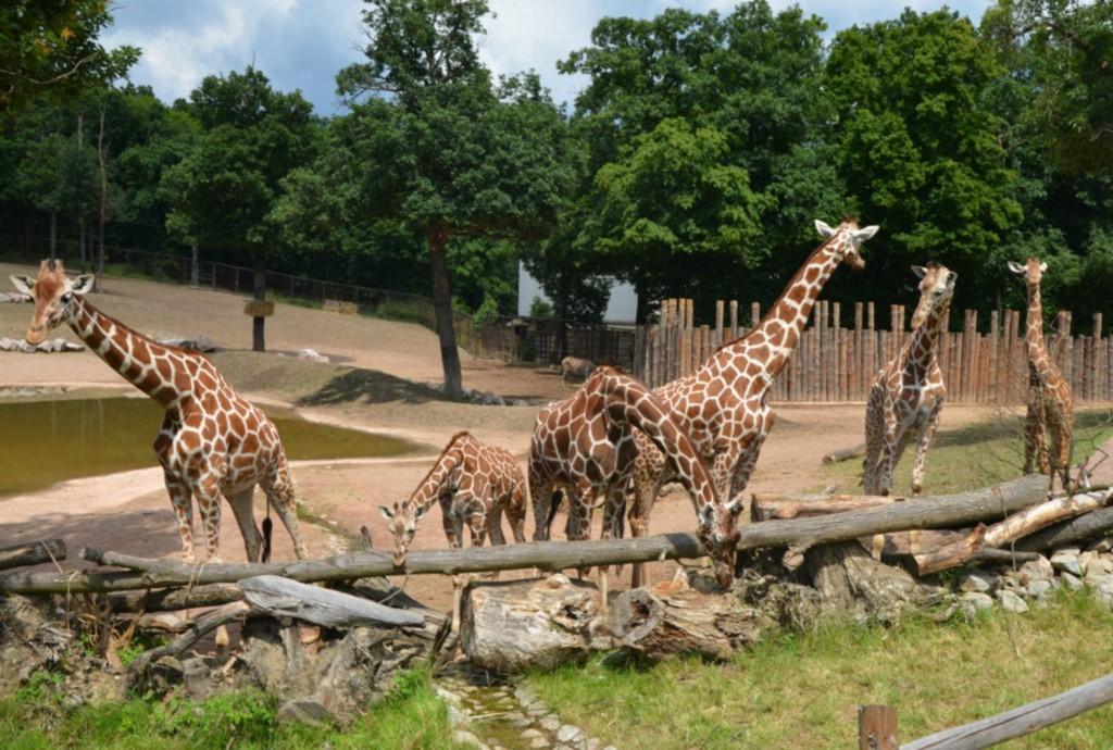 Brno Zoo