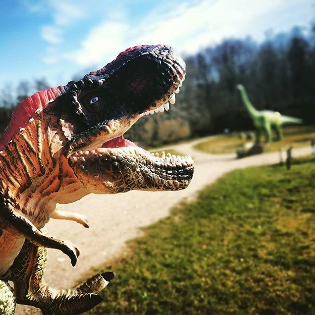 Dinosaur Park