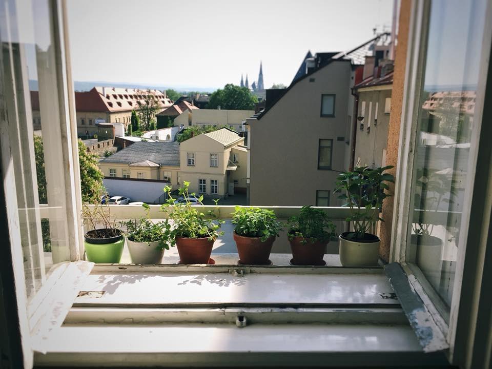 Poet’s Corner Hostel