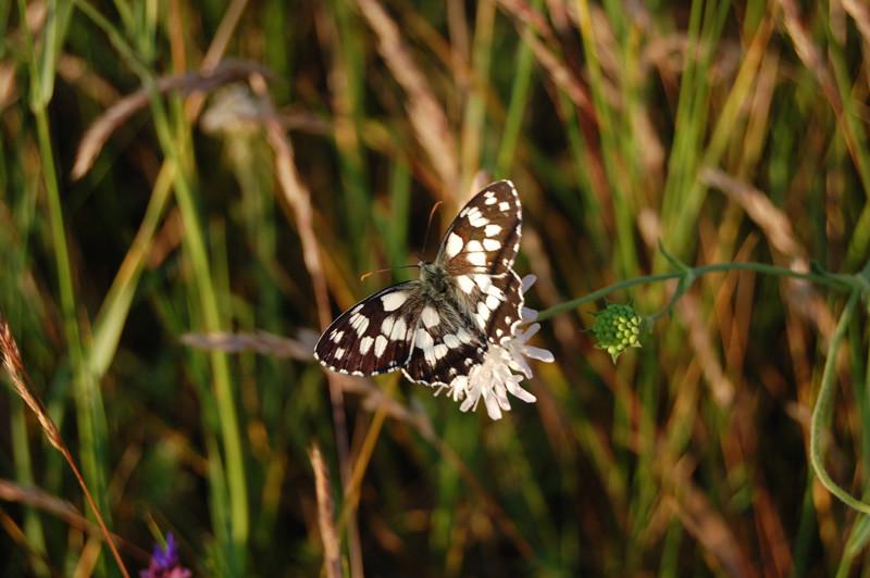 Golden Sands Natural Park