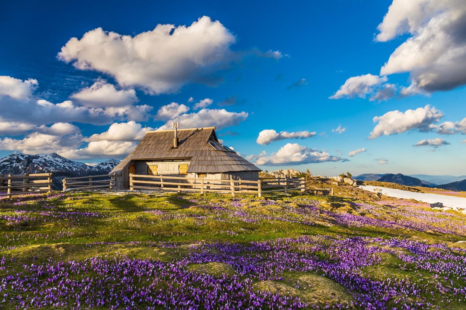Preskar Museum Hut and Trnič