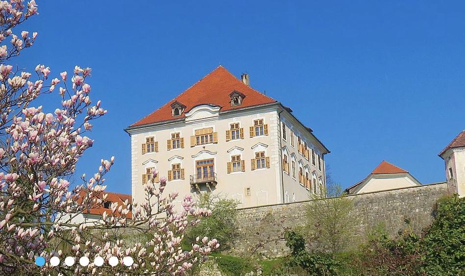 Zaprice Castle and Regional Museum