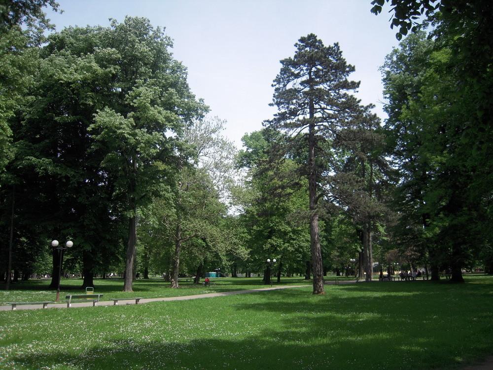 Park Mladen Stojanović