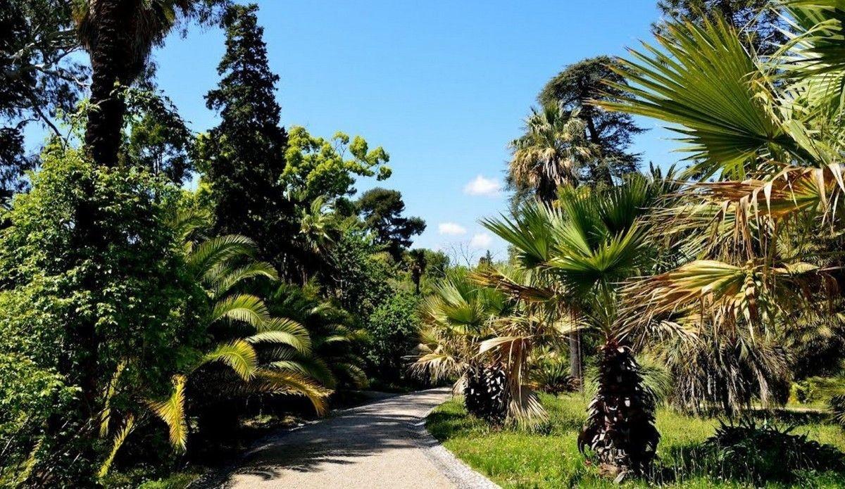 Villa Thuret Botanic Gardens