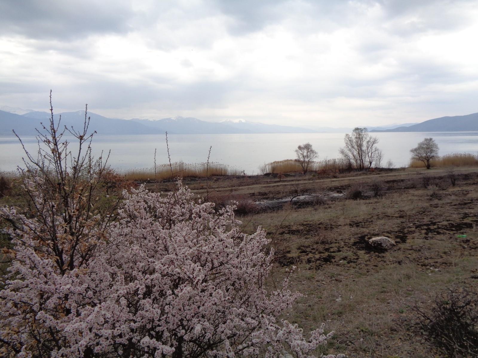 Lake Prespa & Golem Grad
