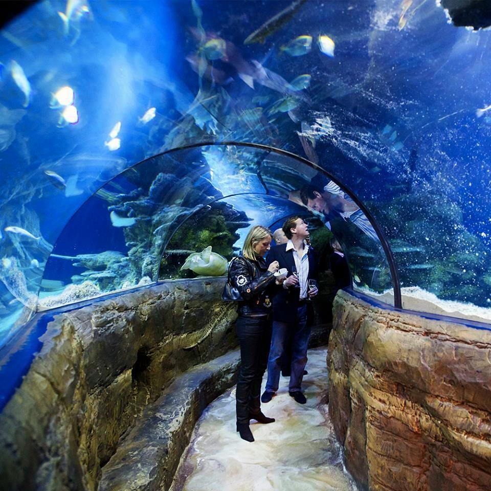 Sea Life London Aquarium