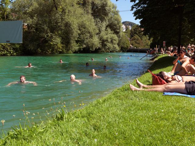 Werdinsel (river pool Au-Höngg)