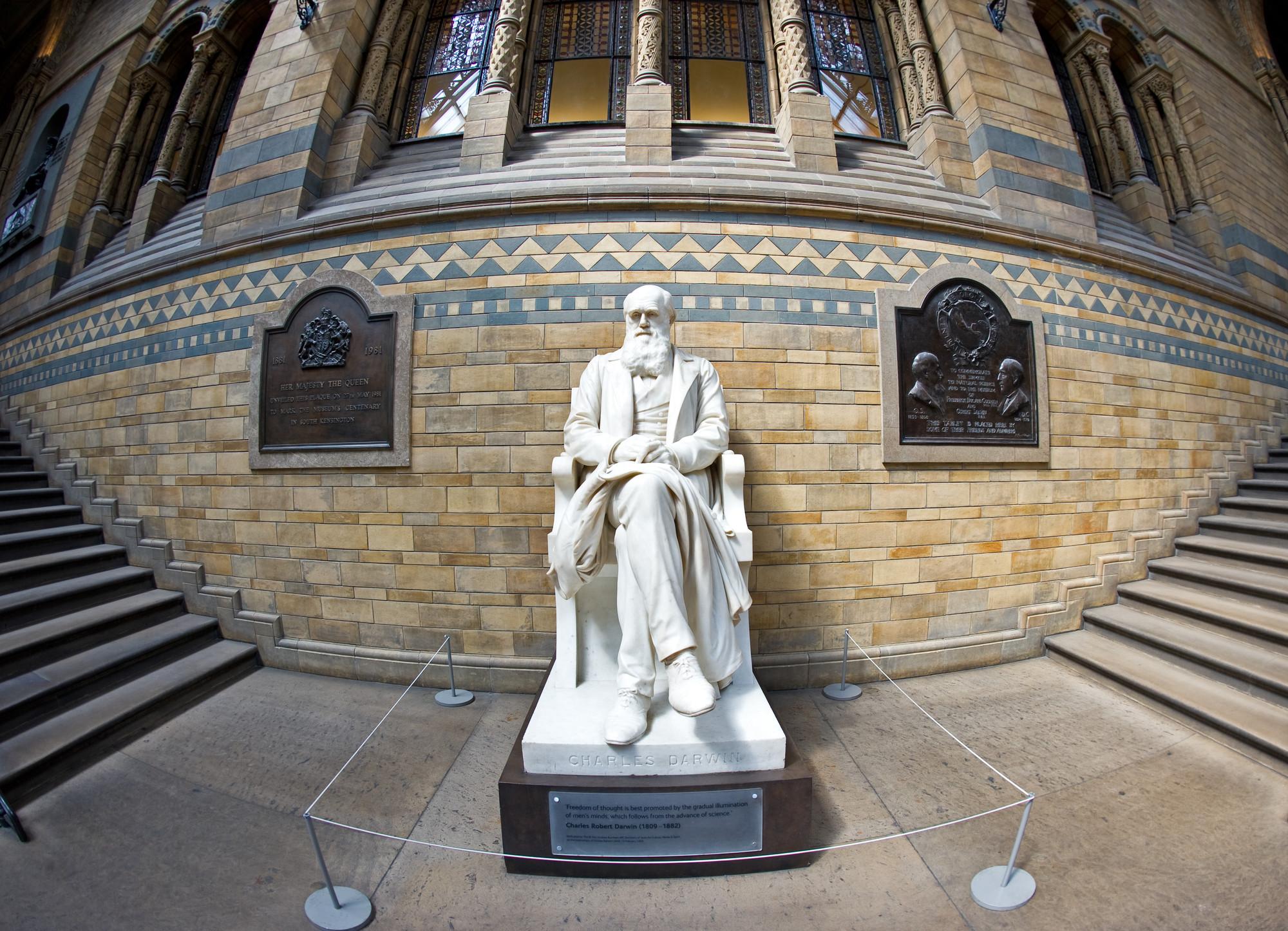 Best Museums & Galleries in London