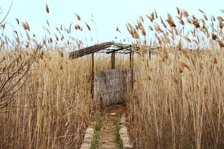 Shirvan National Park