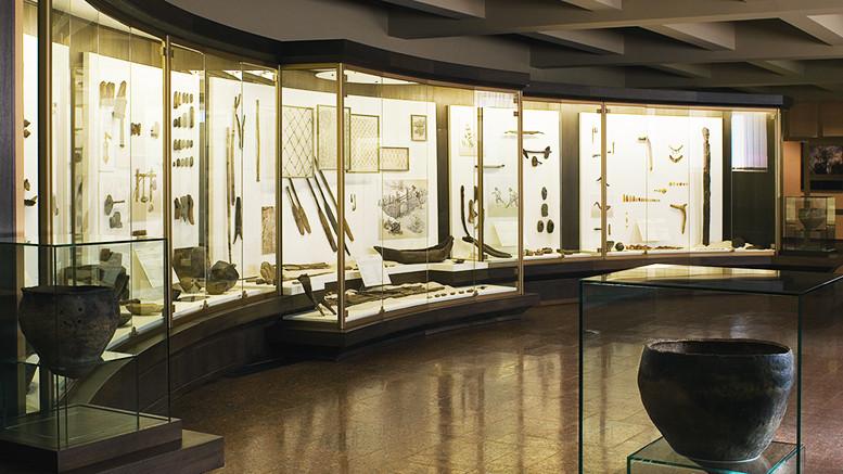 Archaeology Exposition