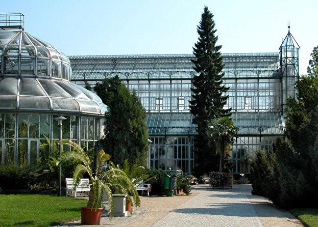 Botanischer Garten