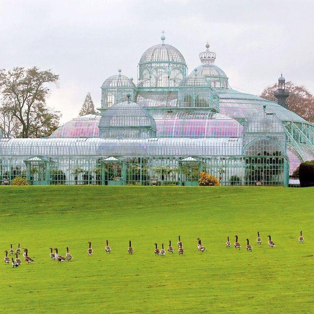 Serres Royales de Laeken