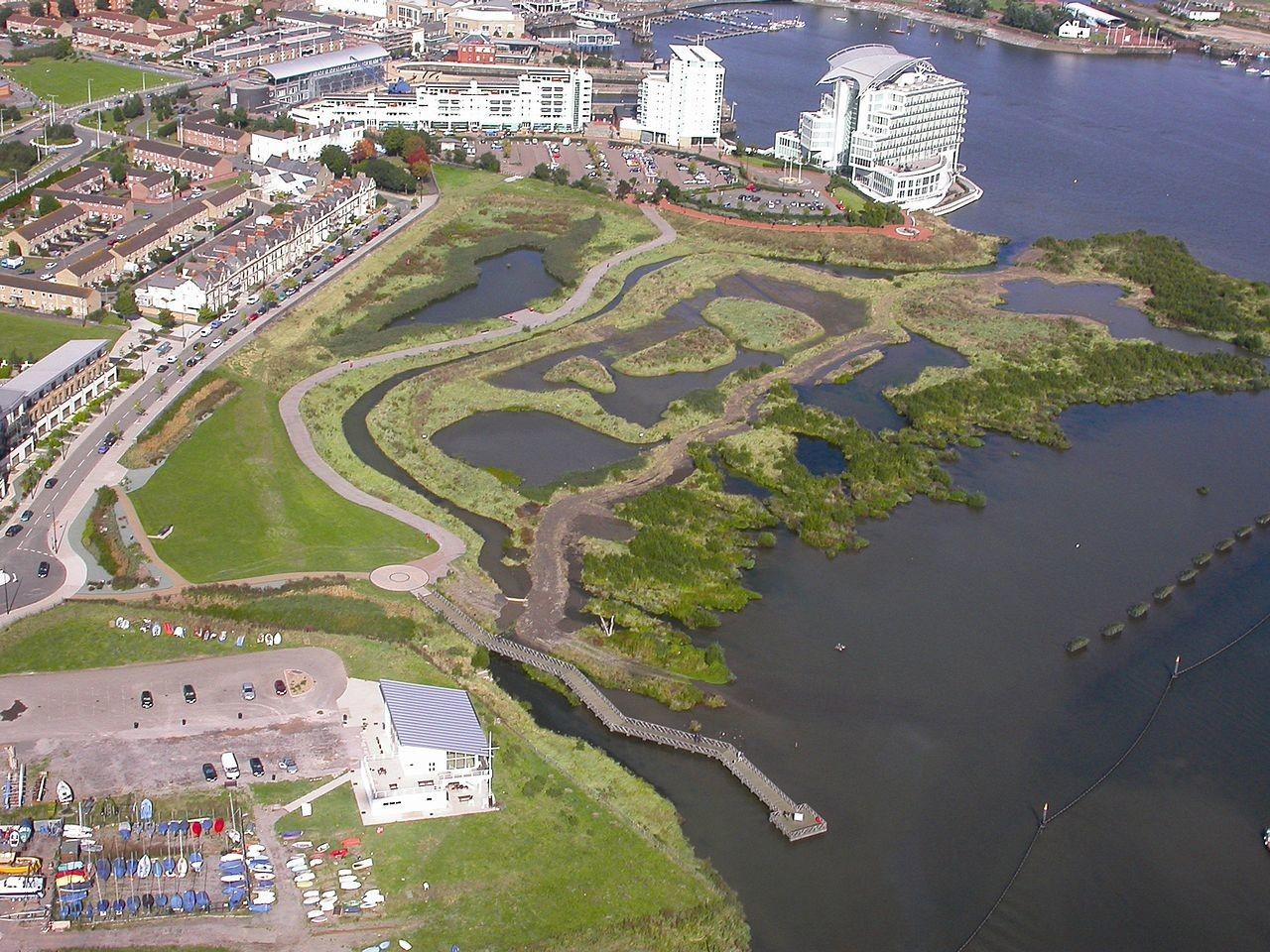 Cardiff Bay Wetlands Reserve