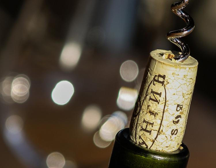 Jungić Winery Tours