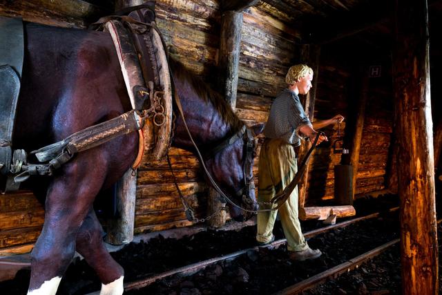 The Coal Mining Museum of Slovenia