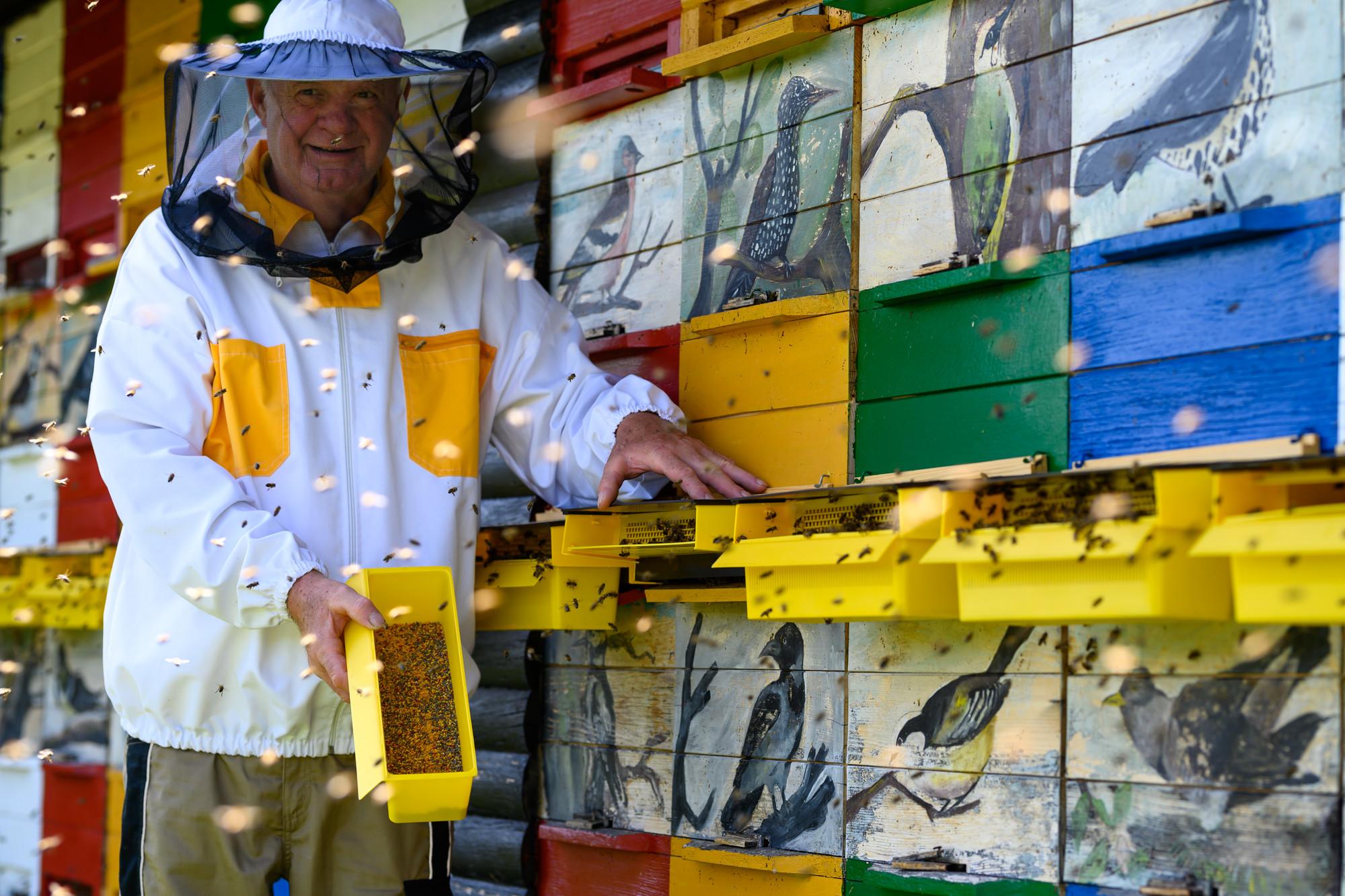 Čanč Apiary