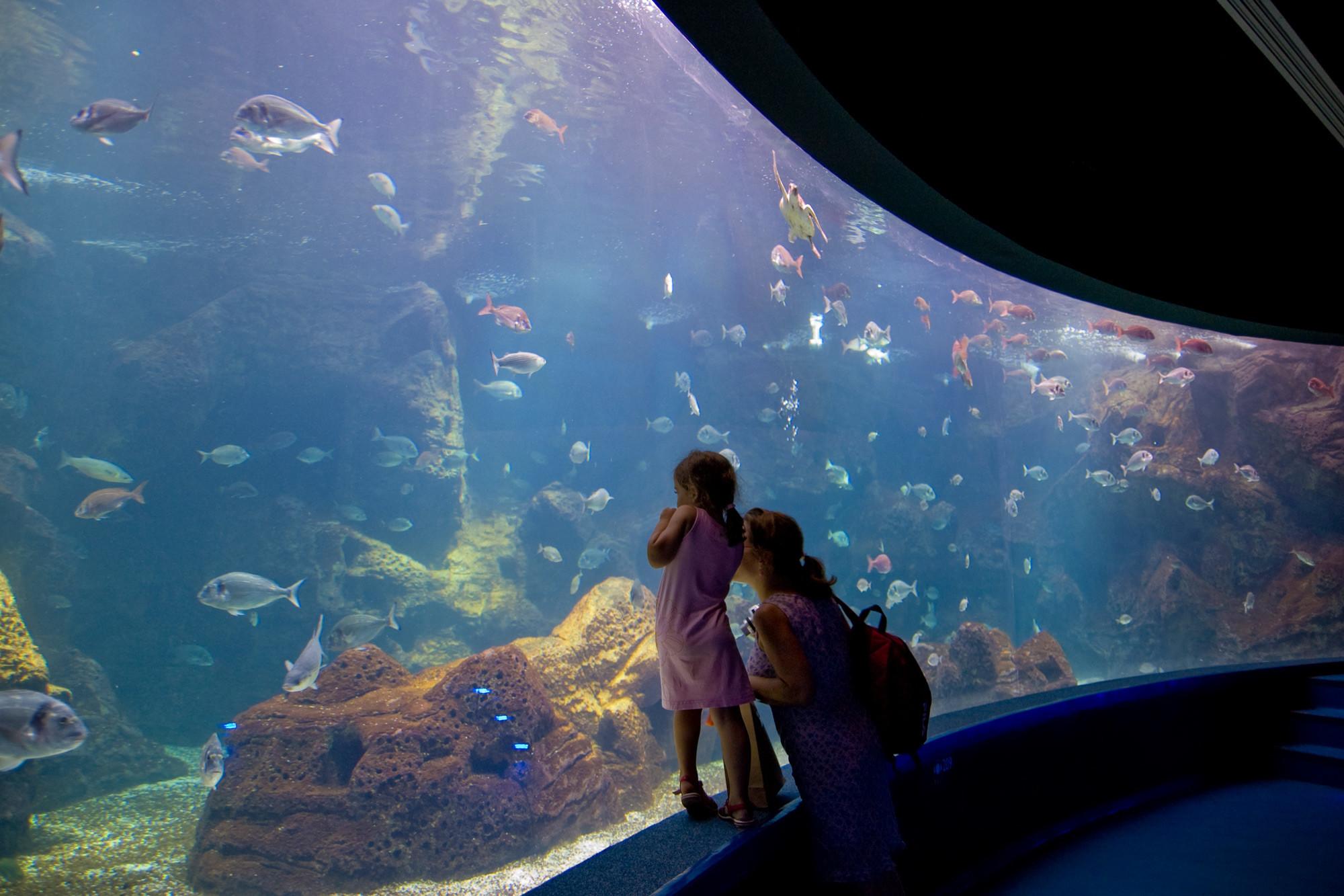 CretAquarium/ Thalassokosmos