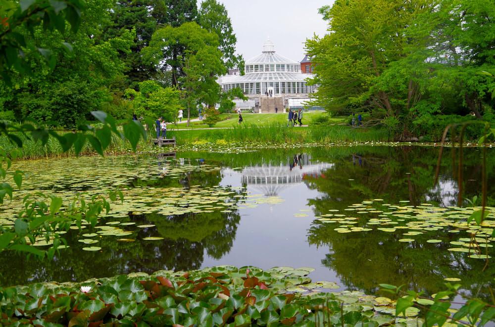 Alameda Gardens