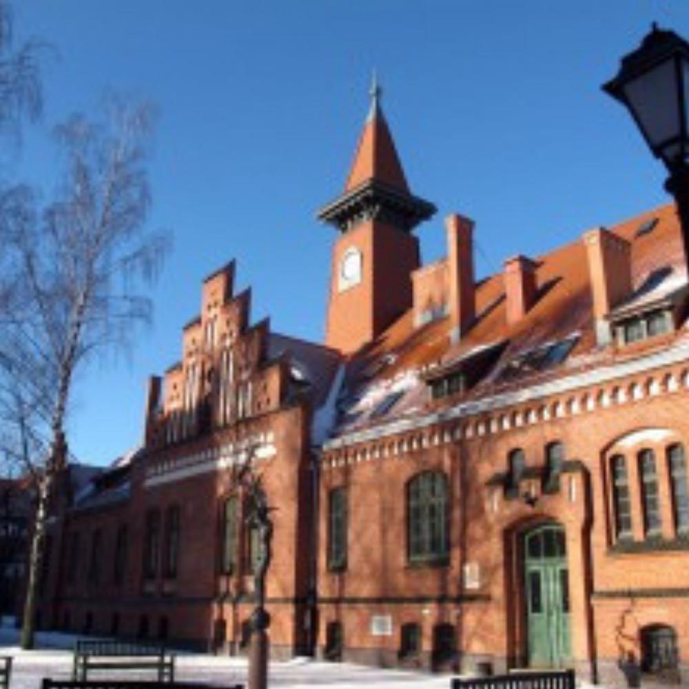 Baltijos Regiono Istorijos ir Archeologijos Institutas