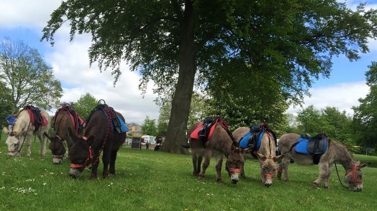 Heaton Park