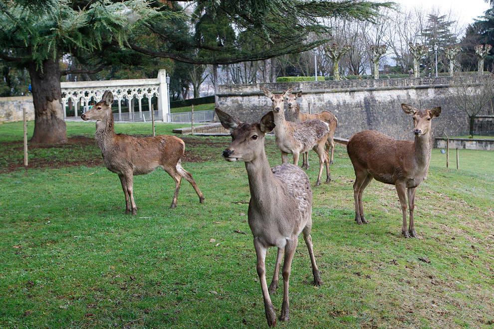 Taconera Park – Zoo Area