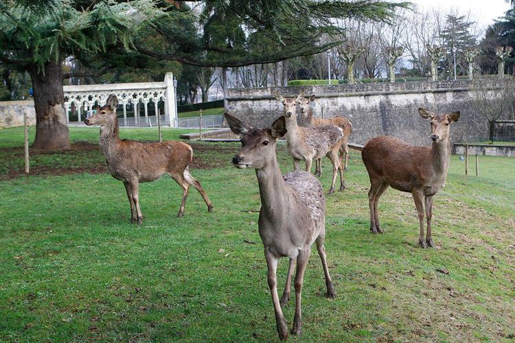 Taconera Park – Zoo Area