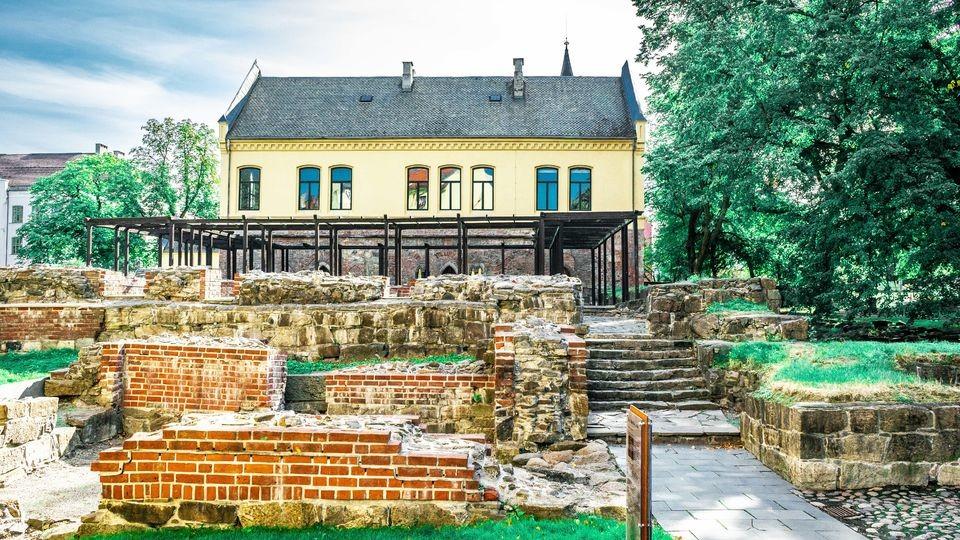 Medieval Oslo Walk: From Ashes To Rebirth