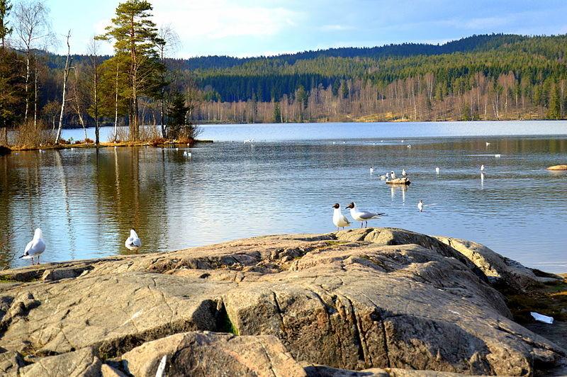 Sognsvann lake
