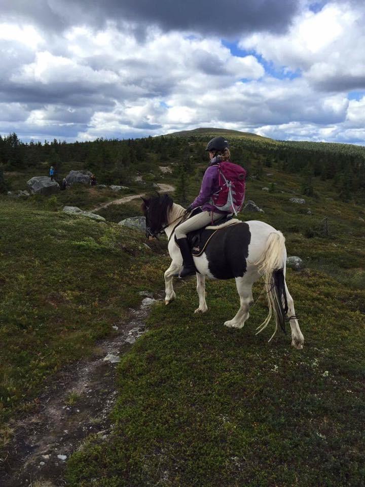 EKT Riding School and Petting Zoo