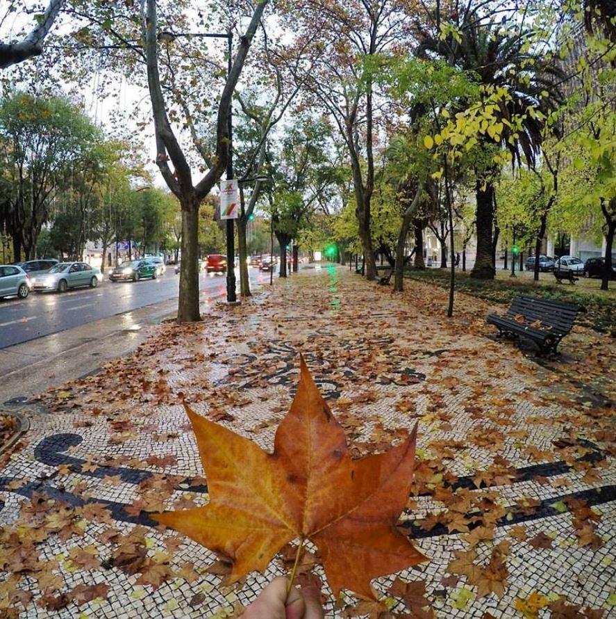 Avenida da Liberdade