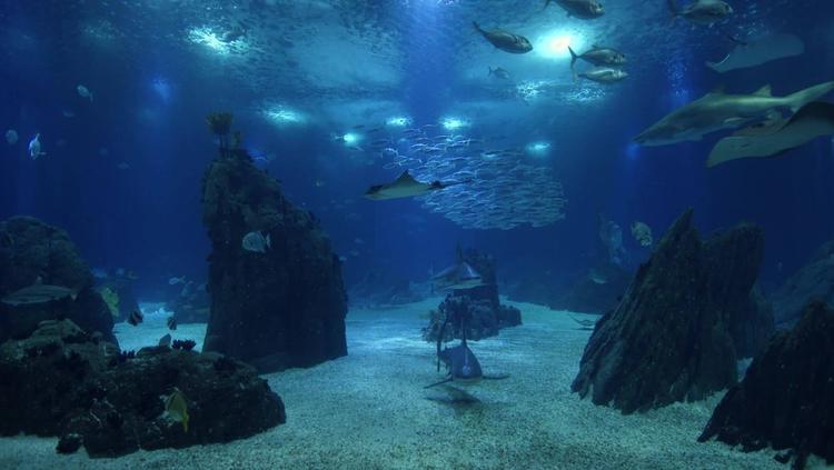 Oceanario