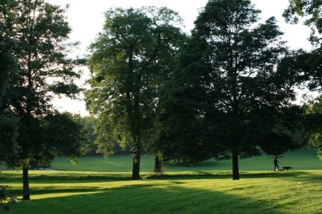 Roundhay Park