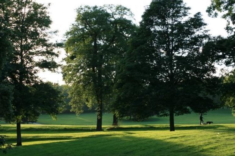 Roundhay Park