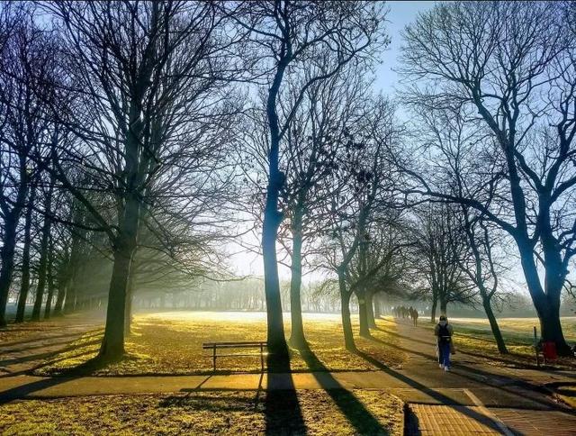 Woodhouse Moor
