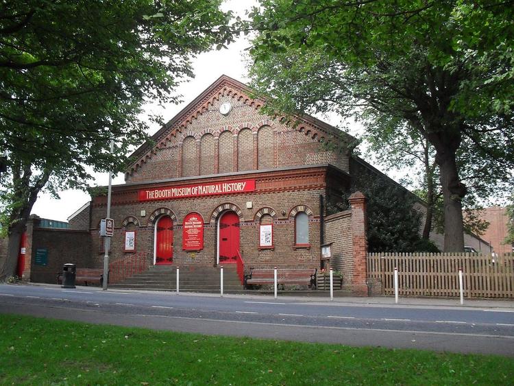 Booth Museum
