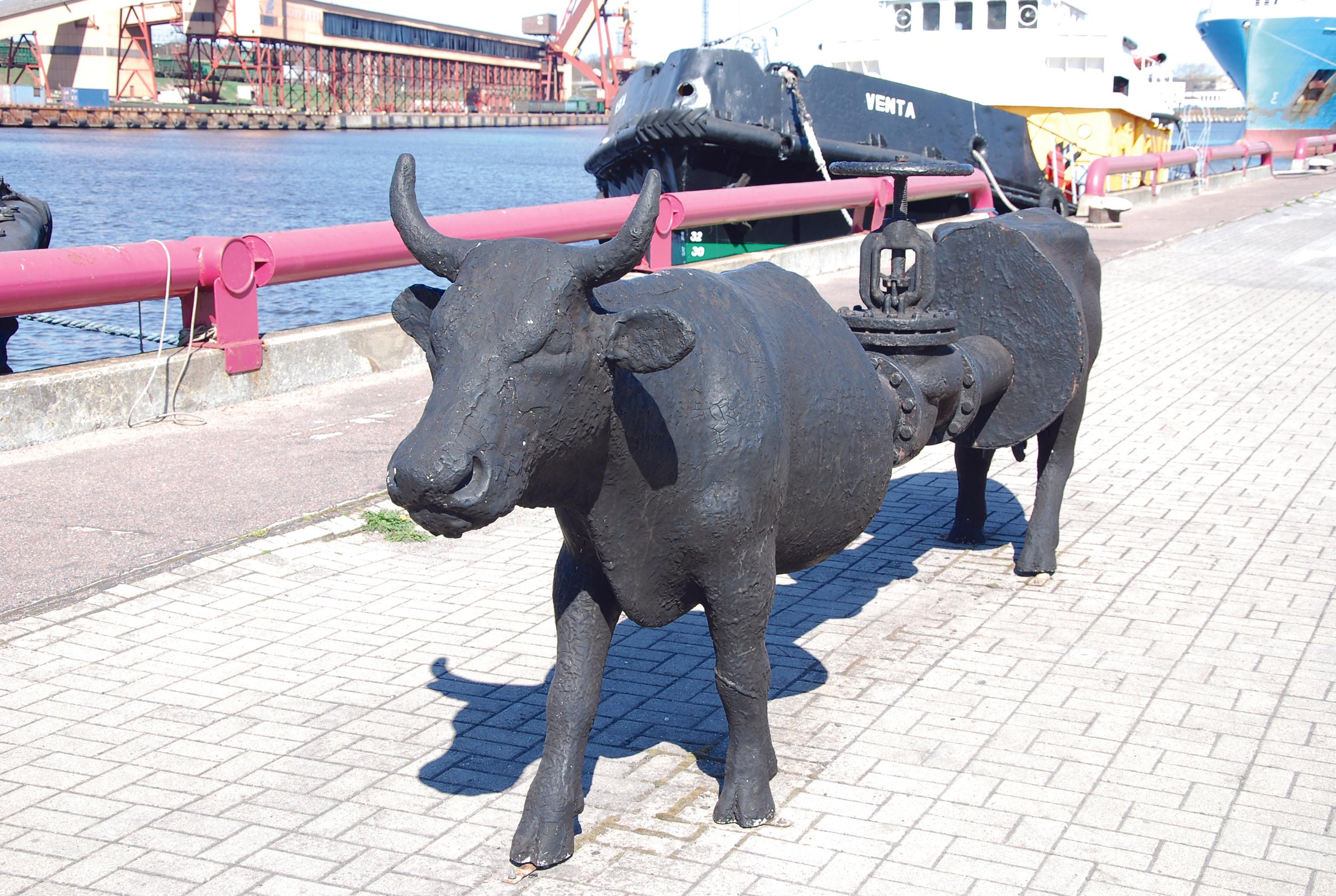 Ventspils Cow Parade