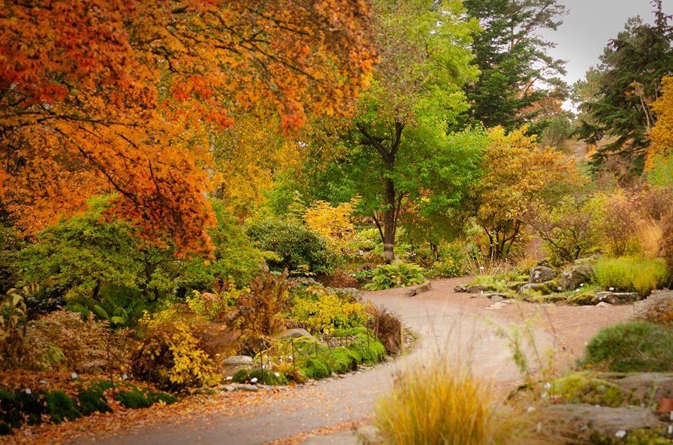Gothenburg Botanical Garden