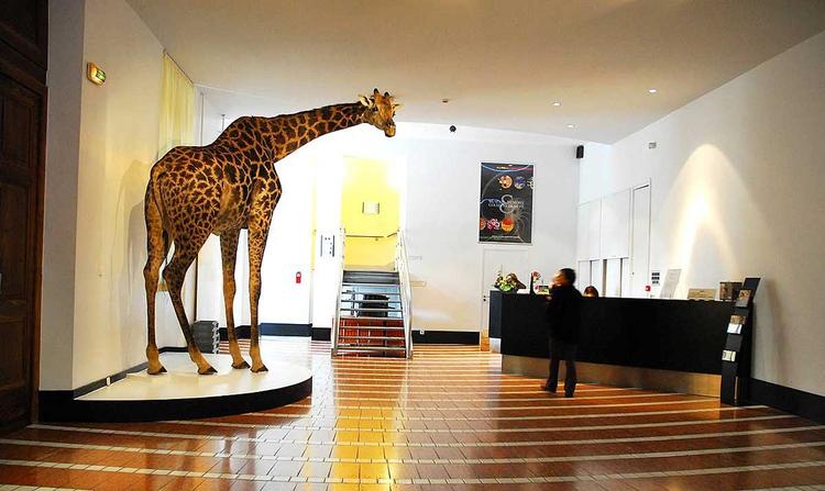 Museum of Grenoble