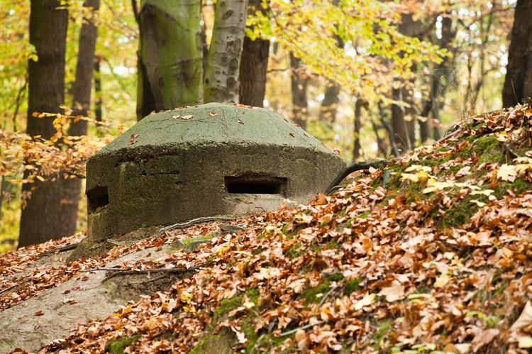 WWII Bunkers