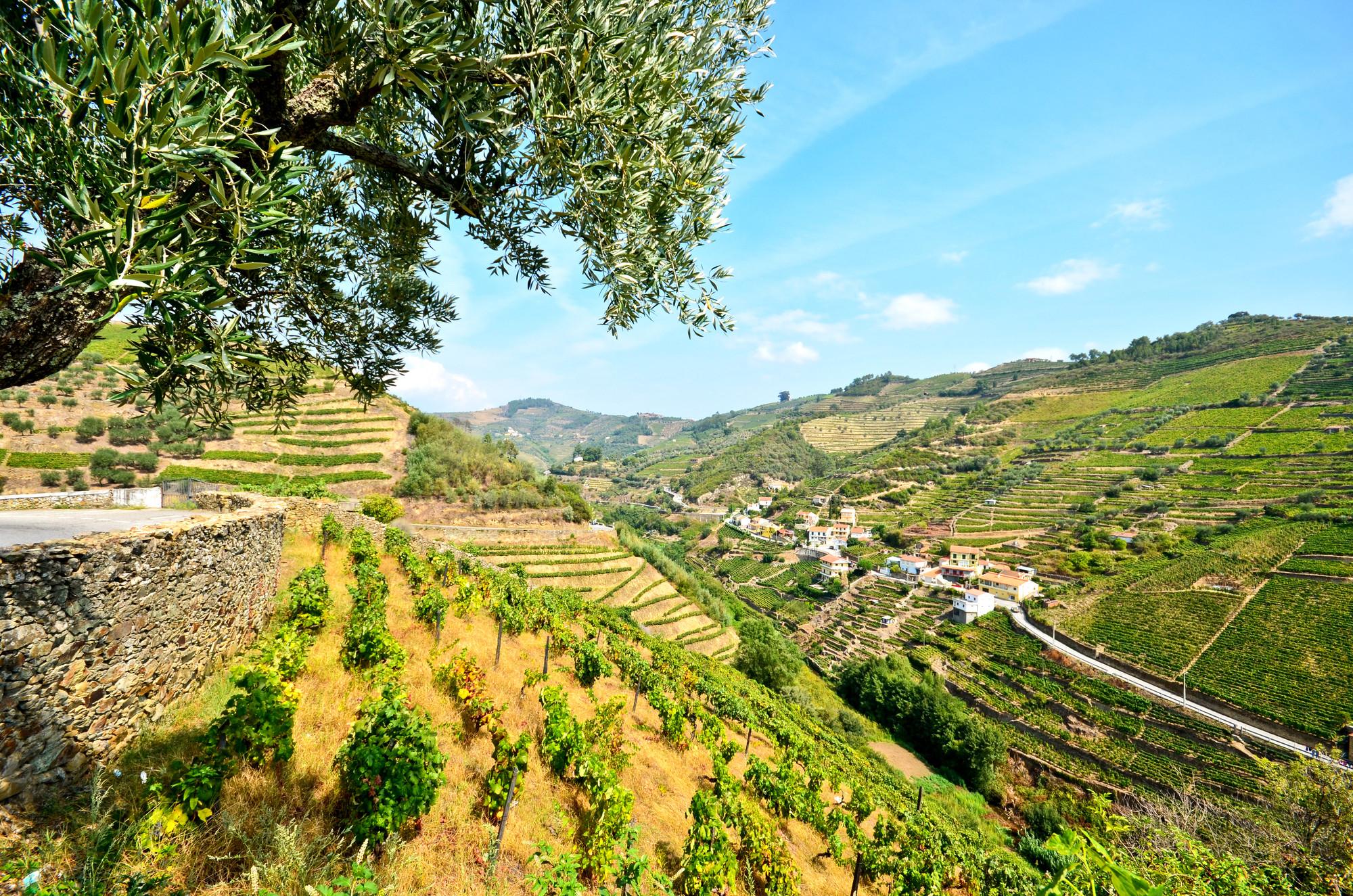 Porto Day Trips: Things to do in Braga
