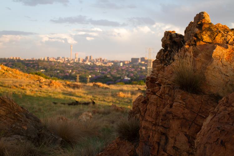 Melville Koppies Nature Reserve