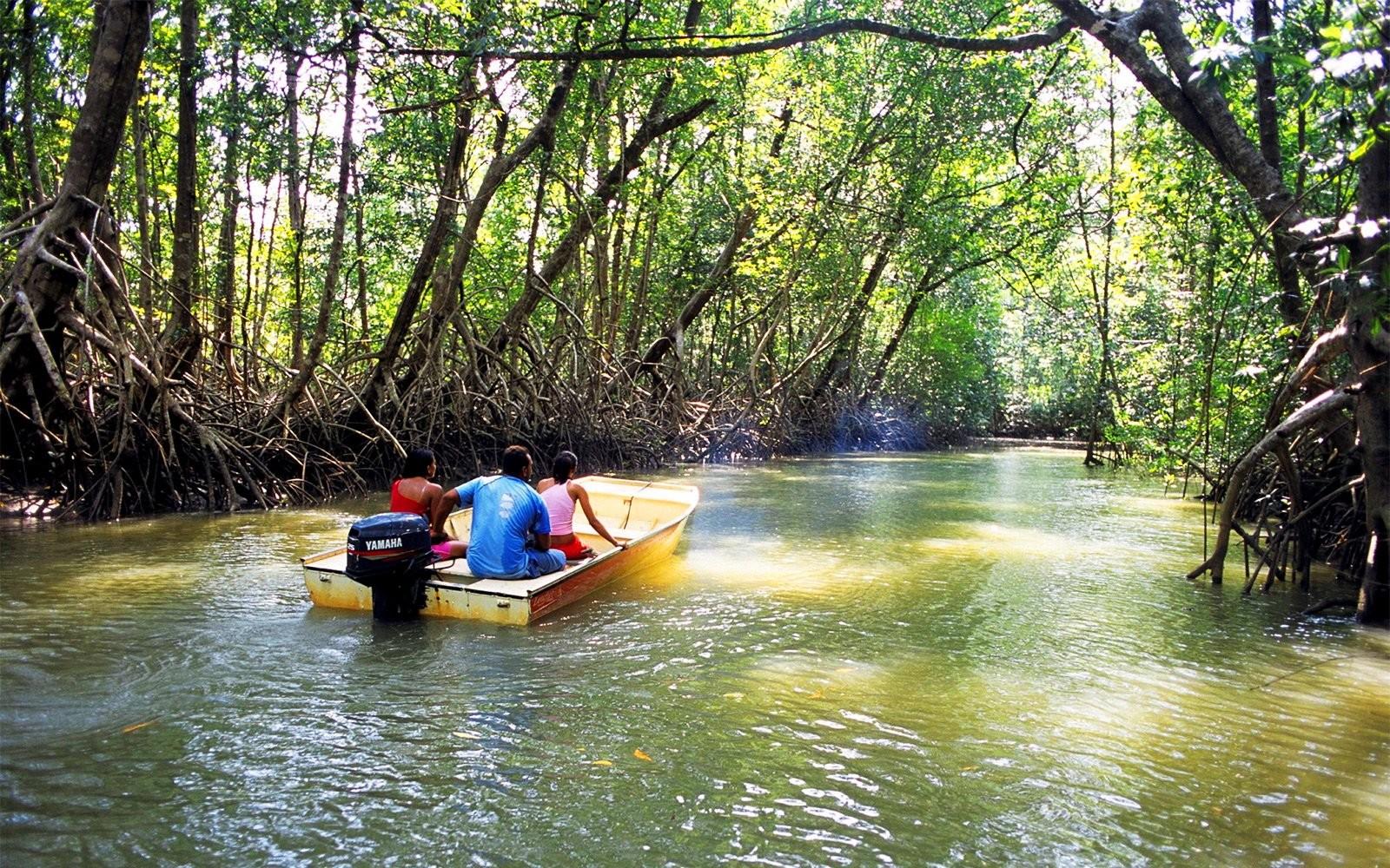 Mangrove National Park