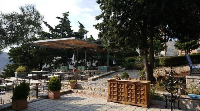 Dučićev Pogled